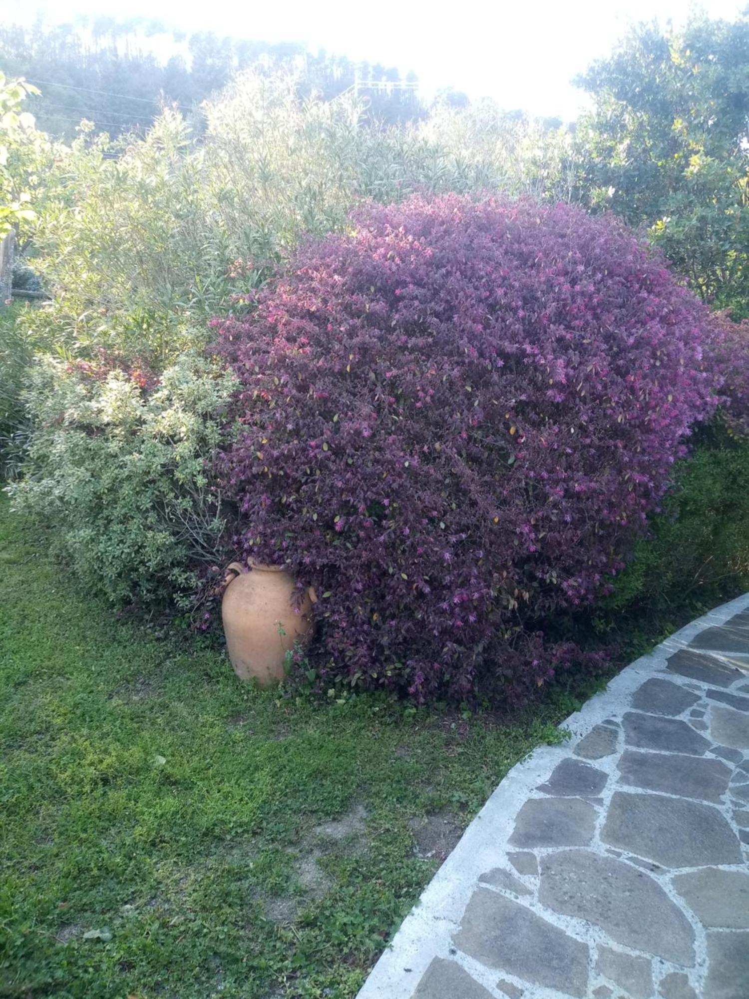 Villa La Torretta Sesta Godano Esterno foto